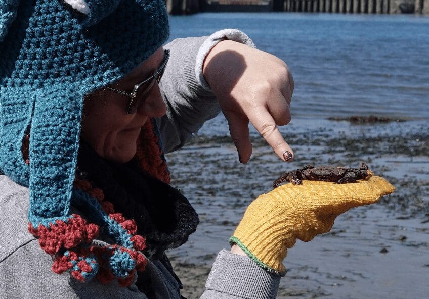 Liz Sweet with Octopus hat on pointing at a crab in her hand
